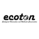 Acoton