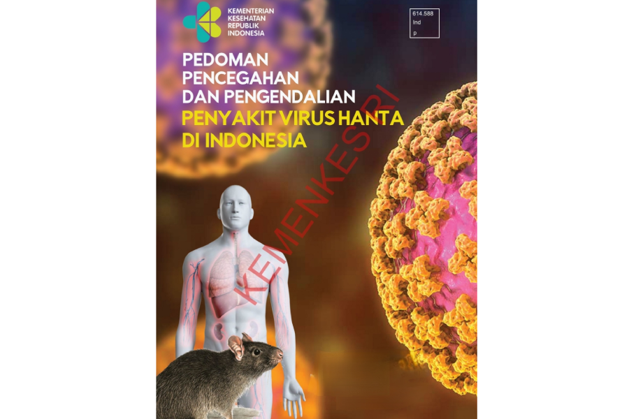 Ilustrasi Virus Hanta/Kemenkes RI