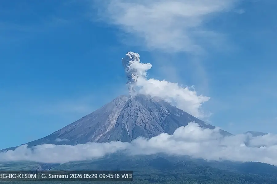 Gunung Semeru Erupsi Muntahkan Abu Vulkanik Setinggi 1.000 Meter Gunung Semeru erupsi sejauh 1 Km/Dok PVMBG
