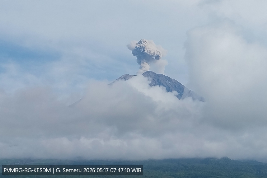 Gunung Semeru Erupsi 7 Kali dalam Sehari Gunung Semeru Erupsi/Dok PVMBG