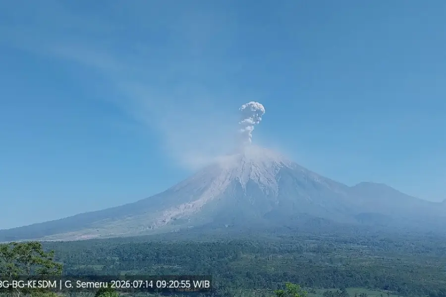 Gunung Semeru Semburkan Abu Vulkanik Setinggi 1,3 KM Gunung Semeru erupsi setinggi ± 1.300 meter/Dok PVMBG