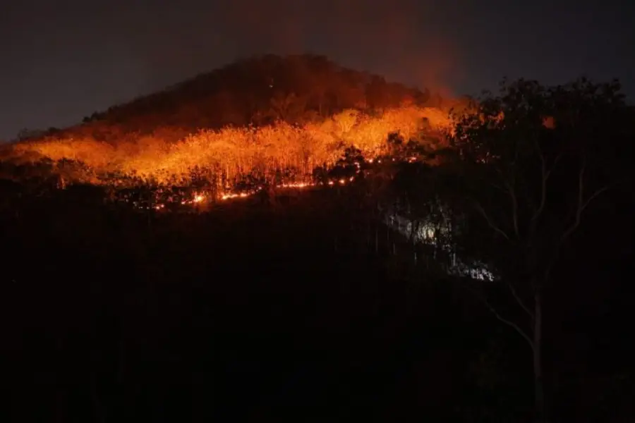 15 Hektare Hutan dan Lahan Gunung Gombak Hangus Terbakar Hutan Gunung Gombak Ponorogo hangus terbakar/Dok Antara