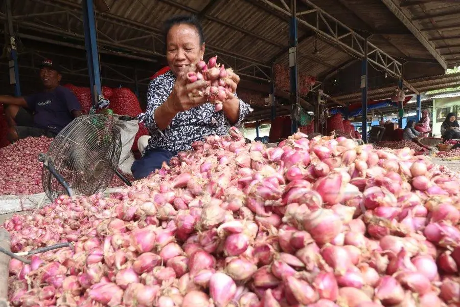 Jatim Deflasi 0,26 Persen Juli 2026, Harga Bawang Merah hingga Tomat Turun Penjualan Bawang Merah di Pasar Tradisional/Antara Foto