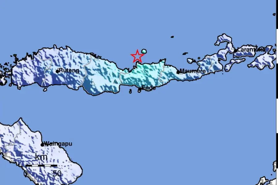 Gempa NTT: 105 Orang Meninggal, 84 Ribu Rumah Rusak-Gempa Susulan 8.193 Kali Dok BMKG