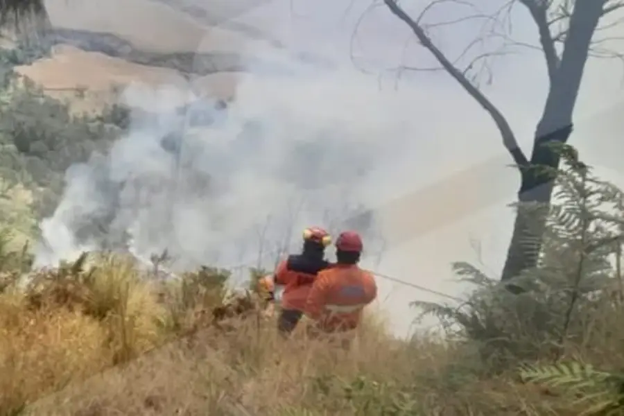 Kebakaran Bromo Meluas 120 Ha, Helikopter Water Bombing Mulai Dikerahkan Kebakaran Hutan Gunung Bromo/Dok BPBD Kab Malang