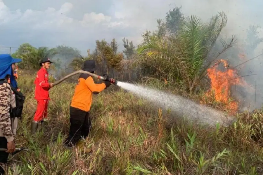 Karhutla Kalimantan Belum Mereda, Puncak Risiko Kebakaran hingga September Karhutla Kalimantan/Dok Antara