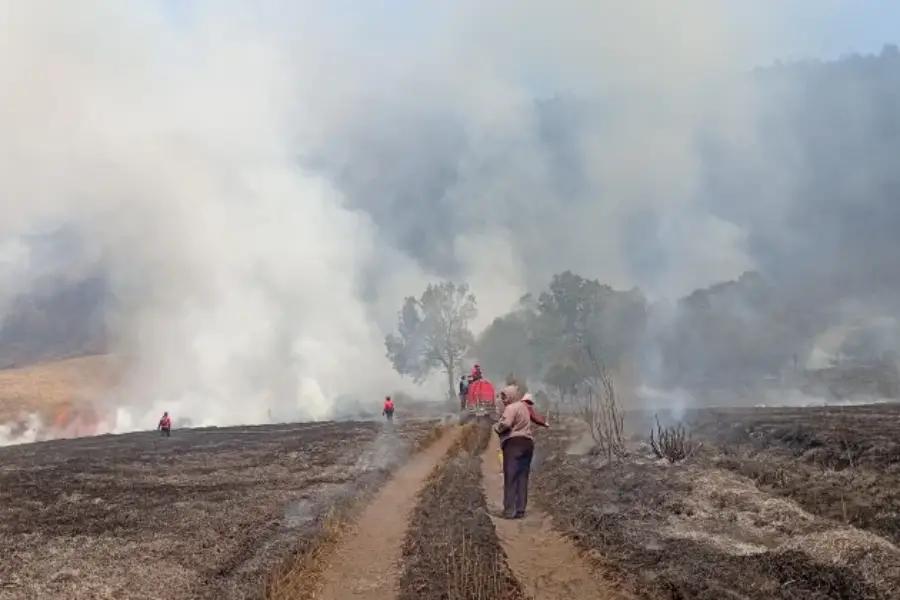 Kebakaran Bromo Hanguskan 70 Ha Lahan, 3 Akses Wisata Ditutup Sementara Kebakaran Hutan Kawasan Gunung Bromo/Dok RRI