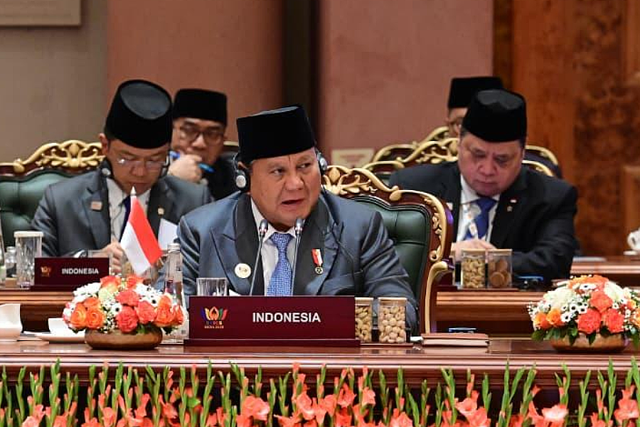 Karhutla di Tengah Pesan Ketahanan Prabowo di KTT BRICS