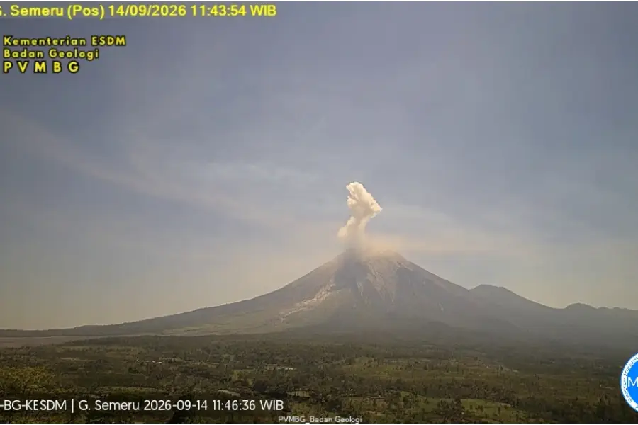 Gunung Semeru erupsi setinggi 1.000 meter/Dok PVMBG