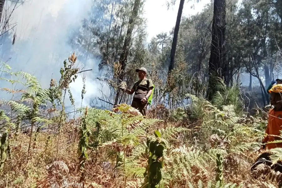 Kebakaran Gunung Arjuno-Welirang Kembali Terjadi, Api Terlihat dari Tol Pandaan Gunung Arjuno kembali terbakar/Dok Pemkab Pasuruan