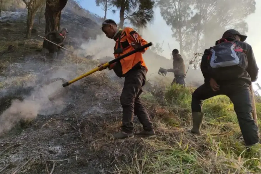 Kebakaran hutan-lahan Savana Bromo dipantau BPBD/Dok Antara